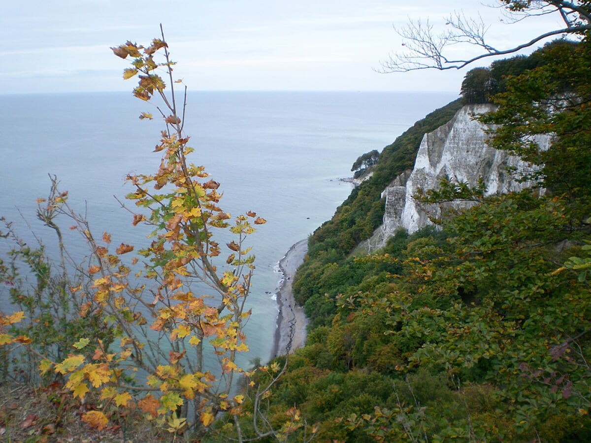 Blick vom Königsstuhl über die Kreideküste aufs Meer