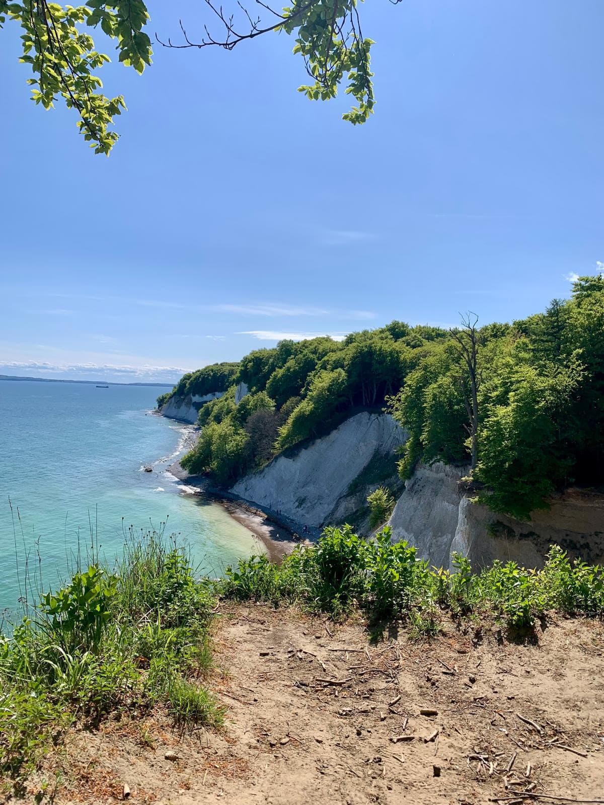 Türkisblaue Bucht unter den Kreidefelsen, gerahmt von Buchenlaub