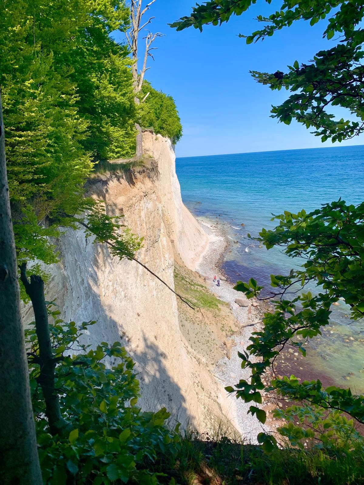Blick von oben über die Kreidewand auf Strand und Meer