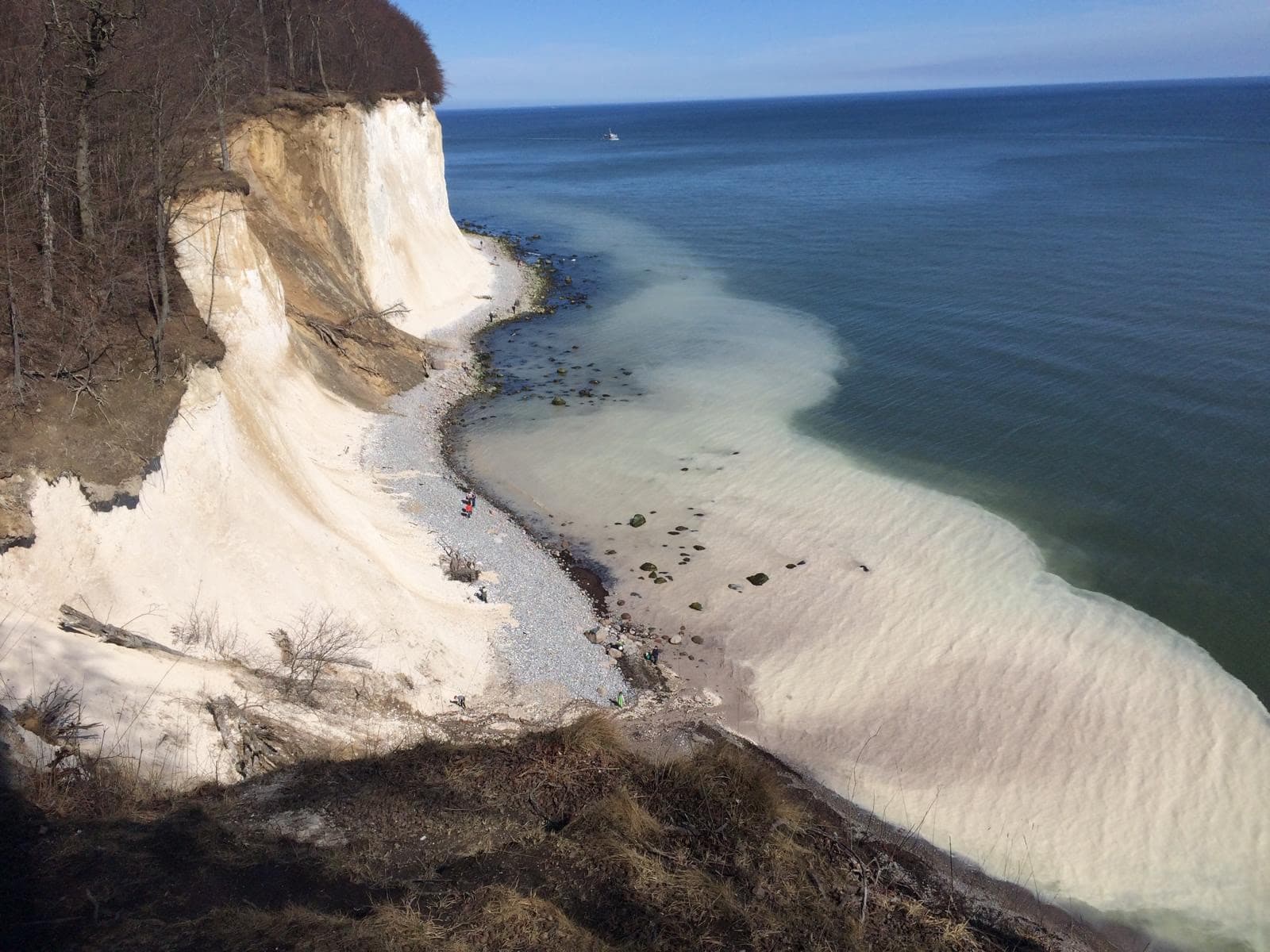 Panorama der Kreideküste: weiße Wände, Feuersteinstrand und helle Sedimentschlieren im Wasser